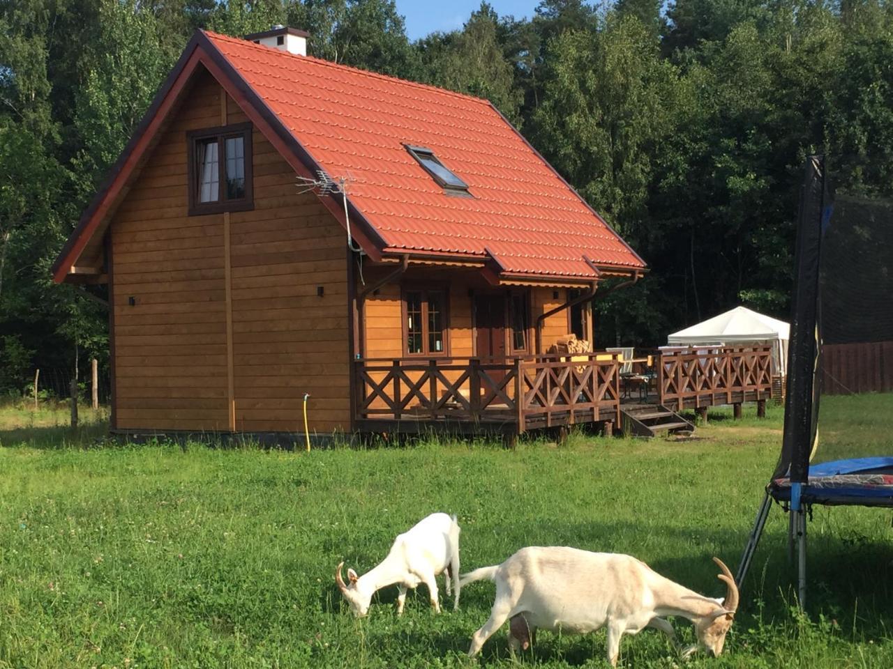 Wypoczynek Na Mazurach U Sebka Villa Лукта Екстериор снимка